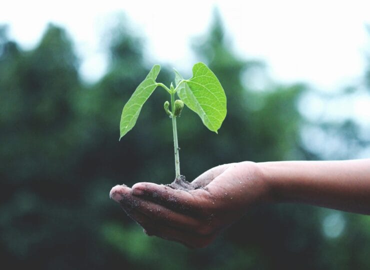 Derecho Ambiental